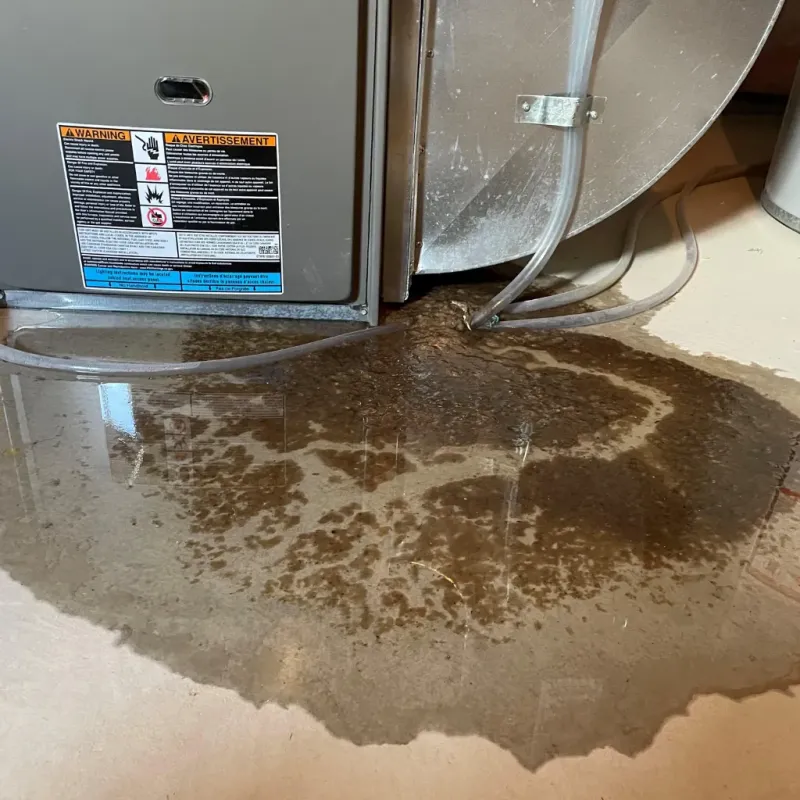 Appliance Leak Cleanup in Liberty, MS